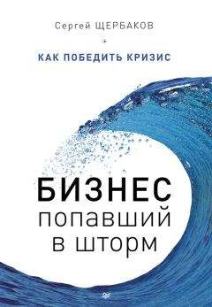 Сергей Щербаков - Бизнес, попавший в шторм. Как победить кризис