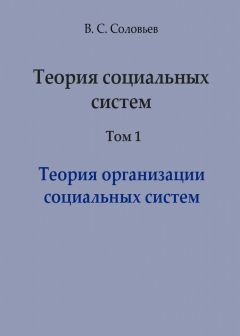 Владимир Соловьев - Теория социальных систем. Том 1. Теория организации социальных систем