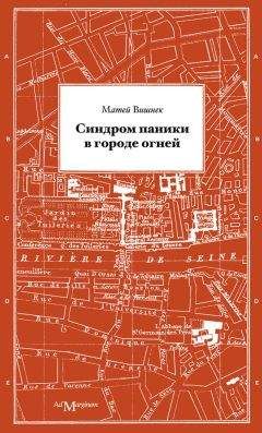 Матей Вишнек - Синдром паники в городе огней
