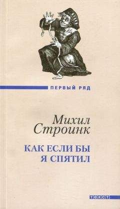 Михил Строинк - Как если бы я спятил