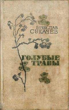 Вячеслав Сукачев - Повесть о любви