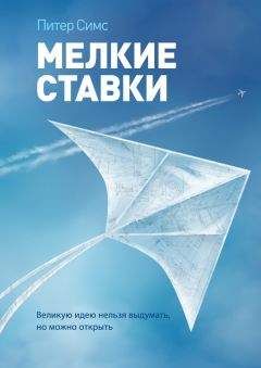 Питер Симс - Мелкие ставки. Великую идею нельзя выдумать, но можно открыть