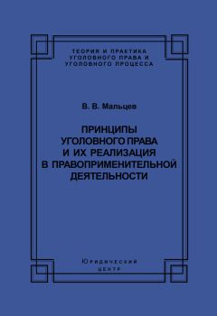 Василий Мальцев - Принципы уголовного права и их реализация в правоприменительной деятельности