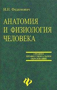 Н. Федюкович - Анатомия и физиология человека: Учебное пособие.