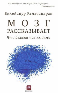 Вилейанур Рамачандран - Мозг рассказывает. Что делает нас людьми