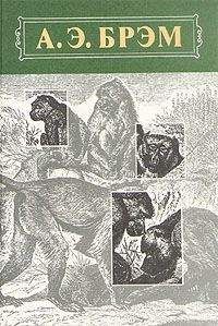 Альфред Брэм - Жизнь животных, Том I, Млекопитающие