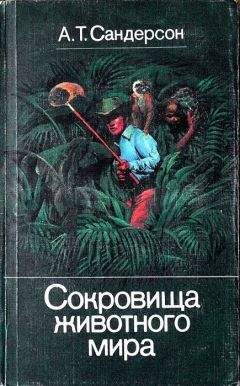 Айвен Сандерсон - Сокровища животного мира