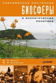 Ю. Колесник - Современное состояние биосферы и экологическая политика