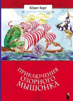 Юдит Берг - Приключения озорного мышонка