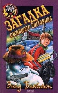 Энид Блайтон - Загадка ожившего снеговика