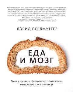 Кристин Лоберг - Еда и мозг. Что углеводы делают со здоровьем, мышлением и памятью