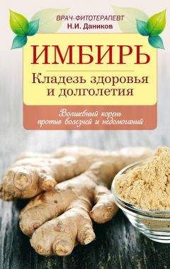 Николай Даников - Имбирь. Кладезь здоровья и долголетия