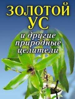 Алексей Иванов - Золотой ус и другие природные целители