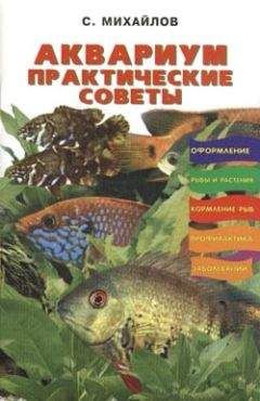 Валентин Михайлов - Аквариум. Практические советы