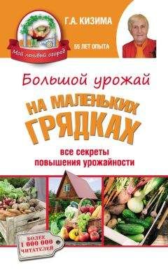 Галина Кизима - Большой урожай на маленьких грядках. Все секреты повышения урожайности