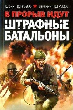 Юрий Погребов - В прорыв идут штрафные батальоны