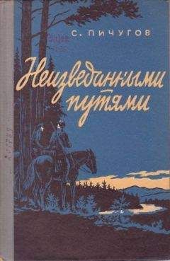 Степан Пичугов - Неизведанными путями
