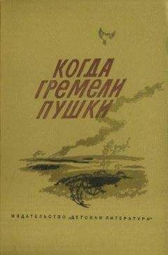 Николай Внуков - Когда гремели пушки