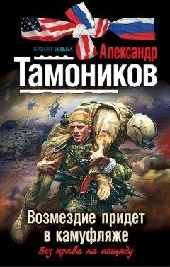 Александр Тамоников - Возмездие придет в камуфляже