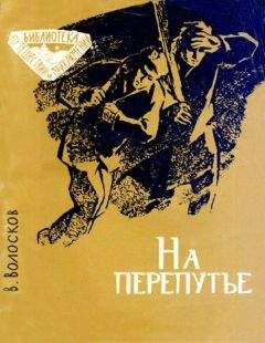 Владимир Волосков - На перепутье