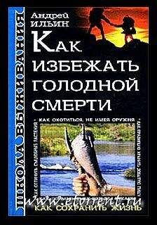 Андрей Ильин - Школа выживания. Как избежать голодной смерти