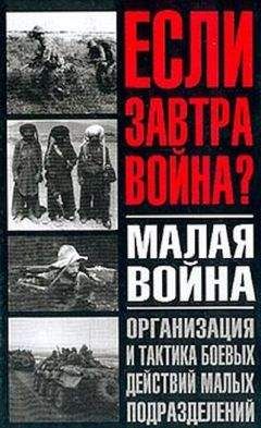 Анатолий Тарас - Малая война. Организация и тактика боевых действий малых подразделений