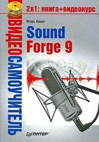 Игорь Квинт - Sound Forge 9