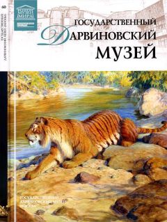 А. Васильева - Государственный Дарвиновский музей Москва