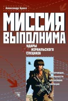Александр Брасс - Миссия выполнима. Удары израильского спецназа