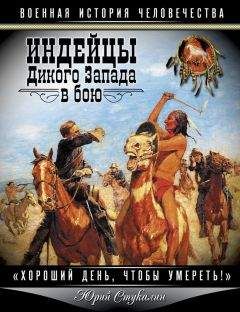 Юрий Стукалин - Индейцы Дикого Запада в бою. «Хороший день, чтобы умереть!»