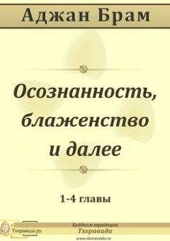 Аджан Аджан Брам - Осознанность, блаженство и далее