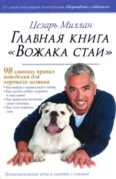 Цезарь Миллан - Главная книга 