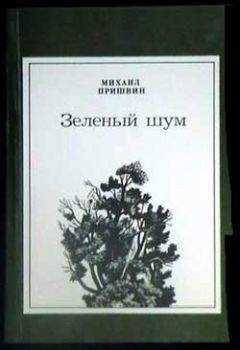 Михаил Пришвин - Пиковая Дама