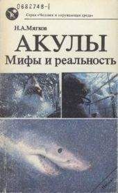 Николай Мягков - Акулы: Мифы и реальность