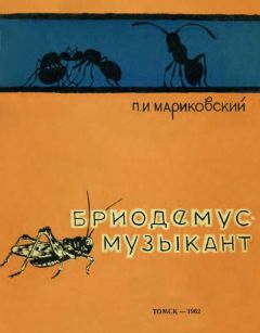 Павел Мариковский - Бриодемус-музыкант