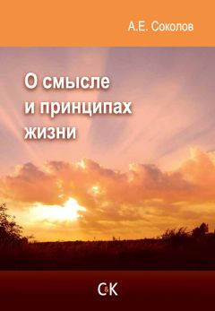 Алексей Соколов - О смысле и принципах жизни