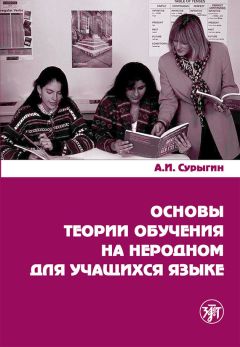 А. Сурыгин - Основы теории обучения на неродном для учащихся языке