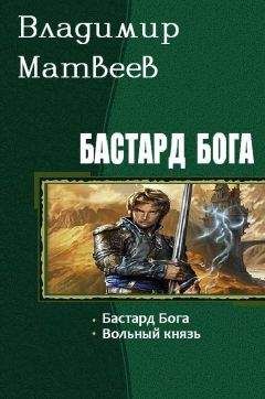 Владимир Матвеев - Бастард Бога. Дилогия