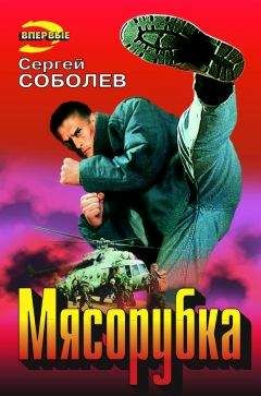 Сергей Соболев - Мясорубка