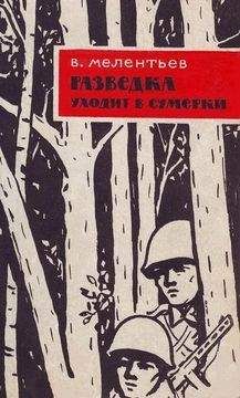 Виталий Мелентьев - Разведка уходит в сумерки