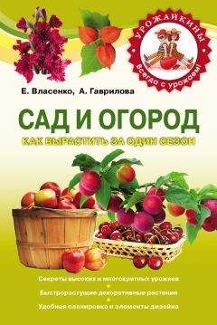 Анна Гаврилова - Сад и огород. Как вырастить за один сезон