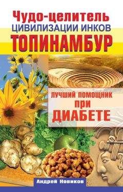 Андрей Новиков - Чудо-целитель цивилизации инков. Топинамбур. Лучший помощник при диабете