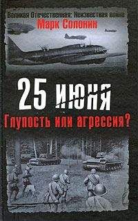 Марк Солонин - 25 июня. Глупость или агрессия?