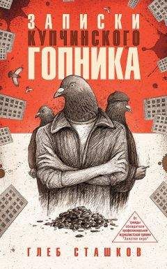 Глеб Сташков - Записки купчинского гопника