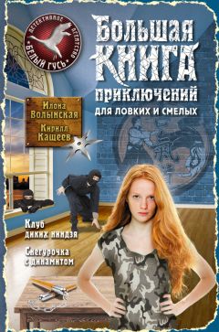 Кирилл Кащеев - Большая книга приключений для ловких и смелых (сборник)