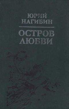 Юрий Нагибин - Огненный протопоп