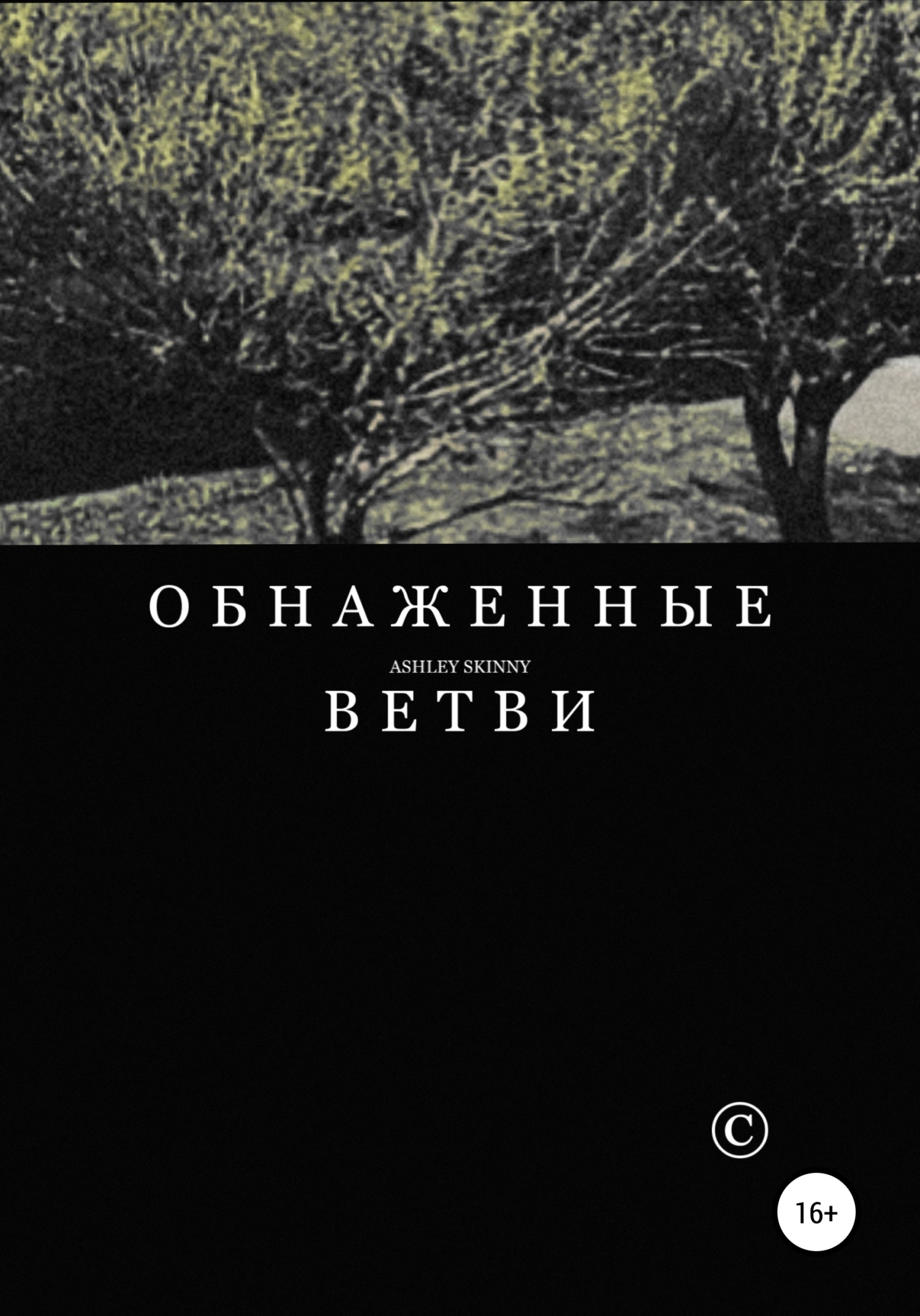 Обнаженные ветви - Ashley Skinny