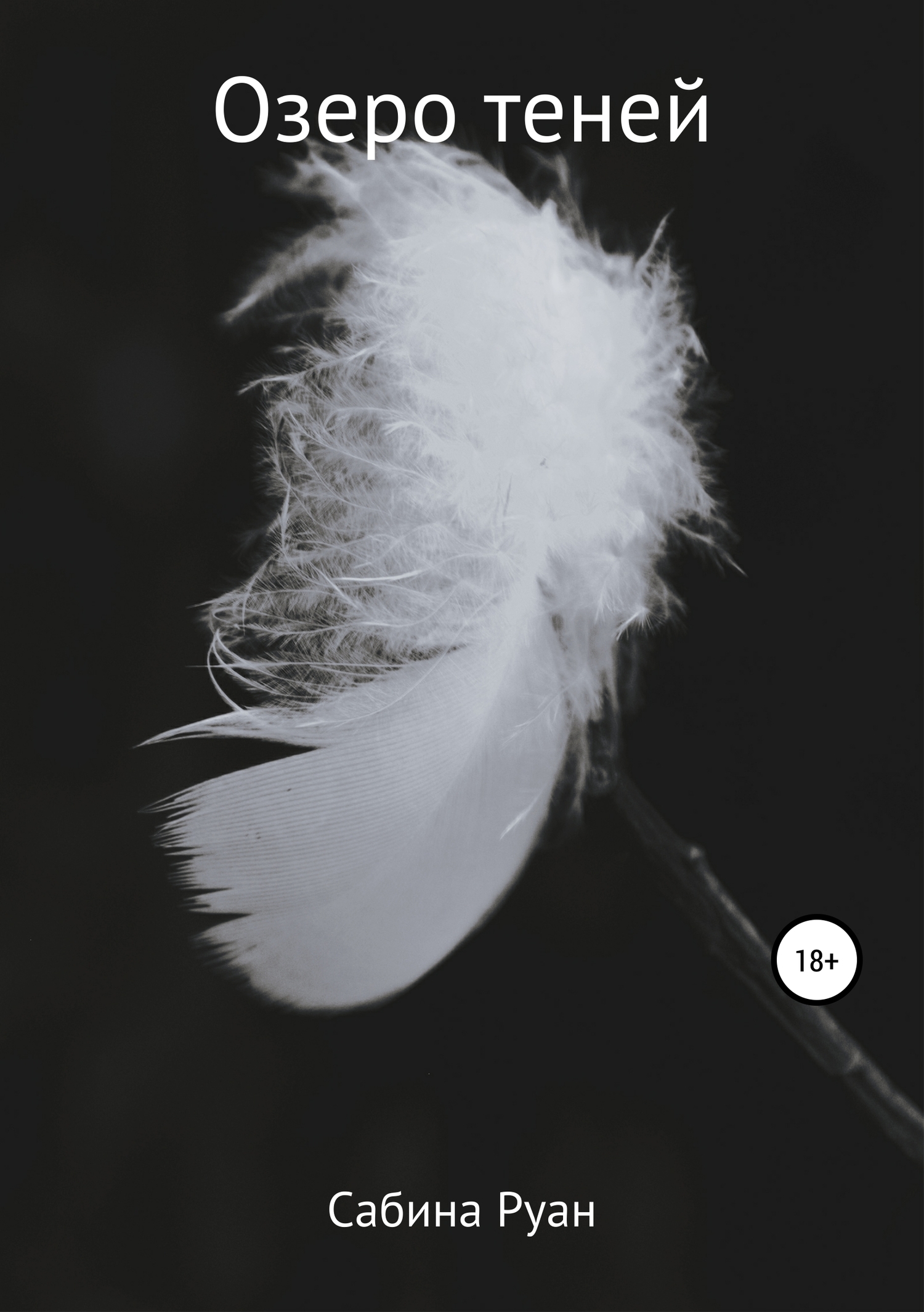 Озеро теней - Сабина Руан