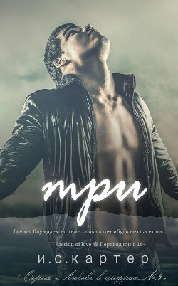 Три (ЛП) - Картер И. С.