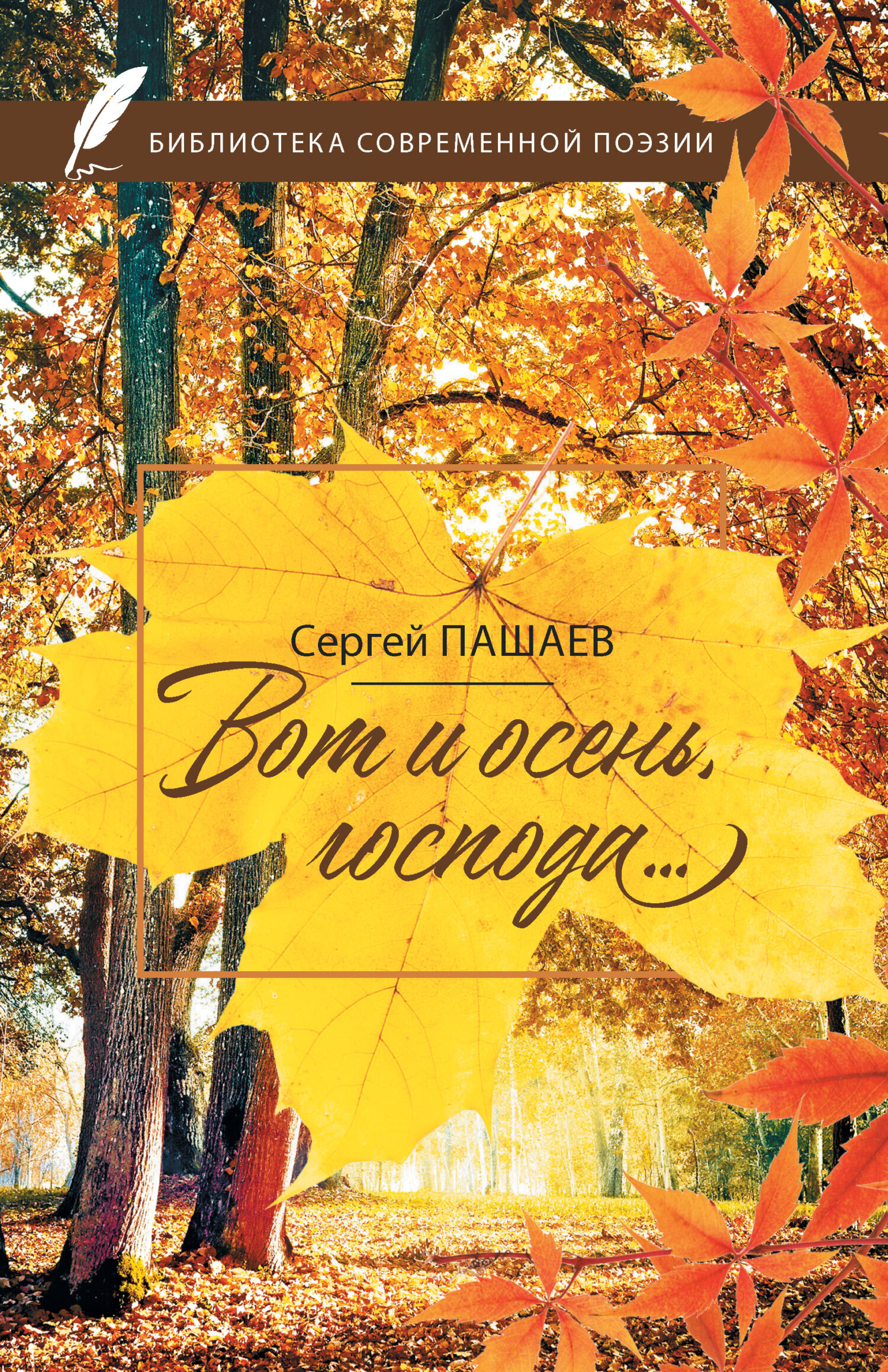 Сын леса (СИ) - Иванов Тимофей